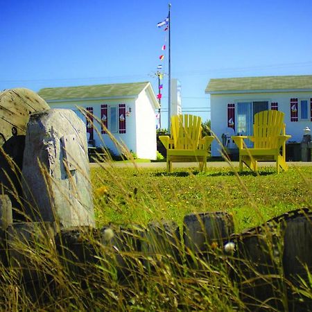 Les Cabines Du Phare Rimouski Dış mekan fotoğraf